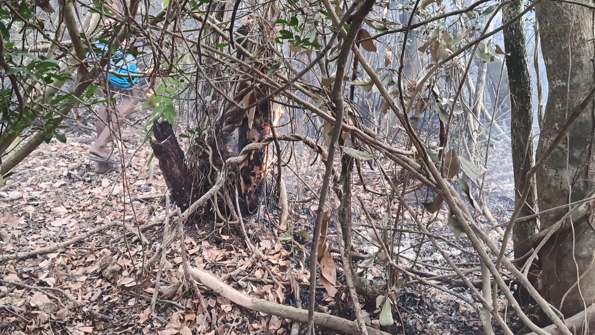 thumbnail_20240504_172927[00_00_01][20250322-224717]